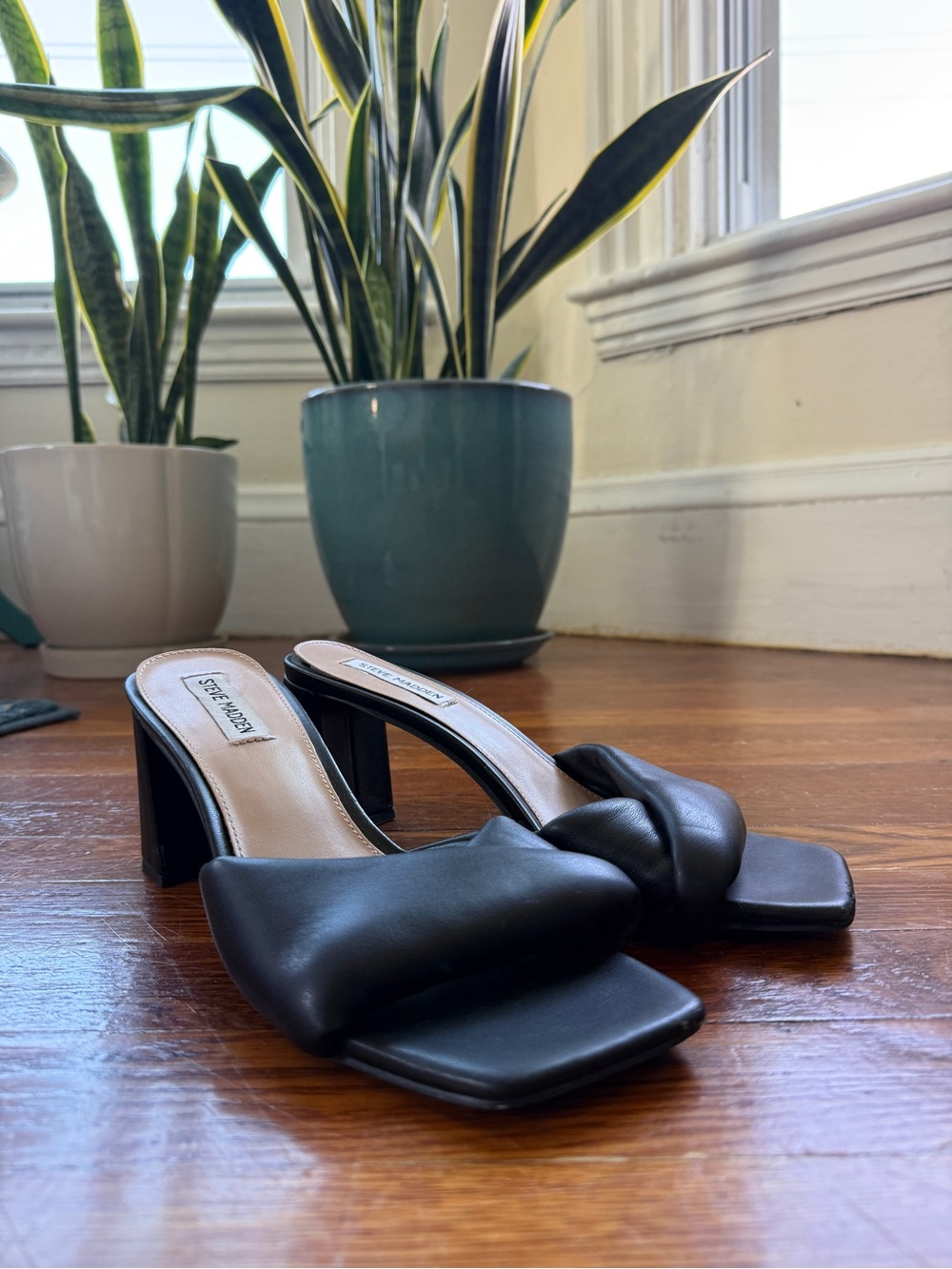 Steve Madden Black Padded Square-Toe Block Heel Mules